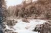 Falls of Tummel, Perthshire